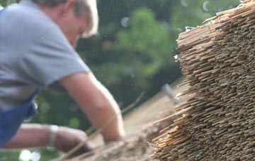 professional Llangorwen thatchers